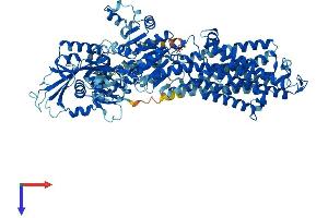 AlphaFold protein structure predicition of Mouse Recombinant Atp1a3 Protein, UniprotID Q6PIC6