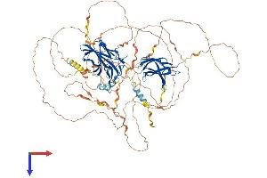 AlphaFold protein structure predicition of Mouse Recombinant Nfatc4 Protein, UniprotID Q8K120