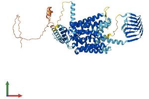 AlphaFold protein structure predicition of Mouse Recombinant Sv2b Protein, UniprotID Q8BG39