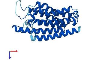 AlphaFold protein structure predicition of Mouse Recombinant Srd5a1 Protein, UniprotID Q68FF9