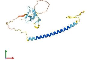 AlphaFold protein structure predicition of Human Recombinant THAP1 Protein, UniprotID Q9NVV9