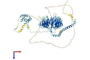 AlphaFold protein structure predicition of Mouse Recombinant Eif3b Protein, UniprotID Q8JZQ9