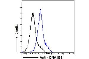ABIN768557 Flow cytometric analysis of paraformaldehyde fixed A431 cells (blue line), permeabilized with 0. (DNAJB9 anticorps  (AA 61-75))