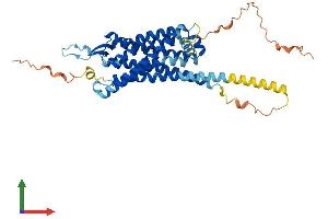 AlphaFold protein structure predicition of Mouse Recombinant Ntsr2 Protein, UniprotID P70310