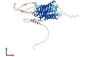 AlphaFold protein structure predicition of Human Recombinant SLC29A4 Protein, UniprotID Q7RTT9