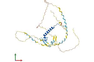 AlphaFold protein structure predicition of Human Recombinant CDKN1C Protein, UniprotID P49918