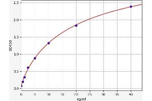Typical standard curve (Muscarinic Acetylcholine Receptor Kit ELISA)