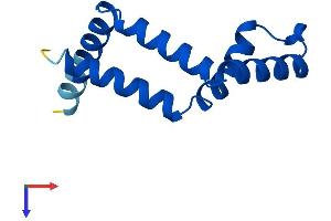 AlphaFold protein structure predicition of Human Recombinant ENY2 Protein, UniprotID Q9NPA8