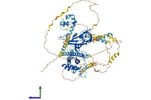 AlphaFold protein structure predicition of Human Recombinant EPS8 Protein, UniprotID Q12929