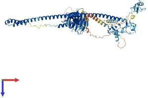 AlphaFold protein structure predicition of Mouse Recombinant Mid2 Protein, UniprotID Q9QUS6