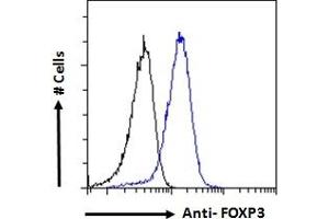 (ABIN185239) Flow cytometric analysis of paraformaldehyde fixed NIH3T3 cells (blue line), permeabilized with 0.