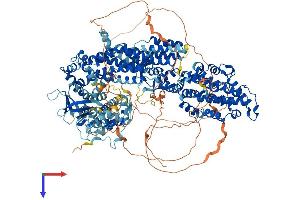 AlphaFold protein structure predicition of Human Recombinant SOS1 Protein, UniprotID Q07889