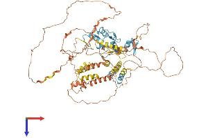 AlphaFold protein structure predicition of Mouse Recombinant Hic1 Protein, UniprotID Q9R1Y5