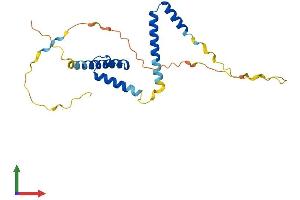 AlphaFold protein structure predicition of Mouse Recombinant Hes7 Protein, UniprotID Q8BKT2