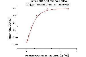 Immobilized Human PDGF-BB, Tag Free (ABIN6731333,ABIN6809924) at 5 μg/mL (100 μL/well) can bind Human PDGFRB, Fc Tag (ABIN2181628,ABIN2181627) with a linear range of 0. (PDGF-BB Homodimer (AA 82-190) (Active) Protéine)
