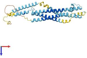 AlphaFold protein structure predicition of Human Recombinant STX19 Protein, UniprotID Q8N4C7