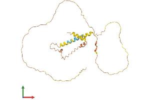 AlphaFold protein structure predicition of Human Recombinant MDFI Protein, UniprotID Q99750
