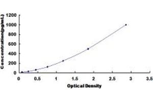 Typical standard curve