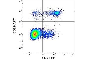 Flow cytometry multicolor surface staining of human lymphocytes stained using anti-human CD73 (AD2) PE antibody (10 μL reagent / 100 μL of peripheral whole blood) and anti-human CD19 (LT19) APC antibody (10 μL reagent / 100 μL of peripheral whole blood).