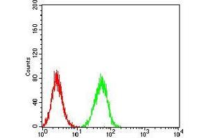Flow cytometric analysis of Hela cells using ESRRA mouse mAb (green) and negative control (red).