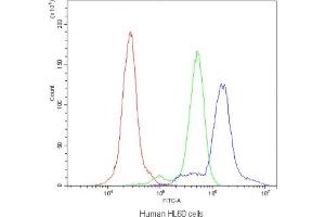 Flow cytometry testing of human HL60 cells with AGO1 antibody at 1ug/10^6 cells (blocked with goat sera) (AGO1 anticorps  (AA 376-409))