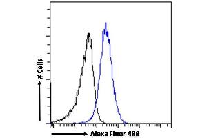 (ABIN302164) Flow cytometric analysis of paraformaldehyde fixed HeLa cells (blue line), permeabilized with 0.