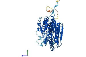 AlphaFold protein structure predicition of Mouse Recombinant Pfkfb4 Protein, UniprotID Q6DTY7