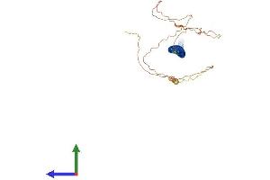 AlphaFold protein structure predicition of Mouse Recombinant Golm1 Protein, UniprotID Q91XA2