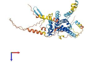 AlphaFold protein structure predicition of Mouse Recombinant Ppp1r36 Protein, UniprotID D3Z0R2