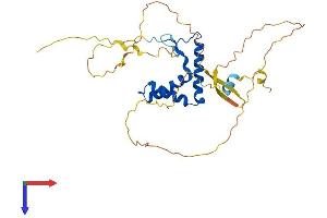 AlphaFold protein structure predicition of Human Recombinant SOX12 Protein, UniprotID O15370