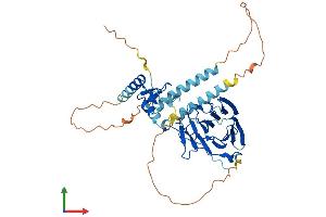 AlphaFold protein structure predicition of Human Recombinant RNF135 Protein, UniprotID Q8IUD6