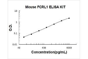 Typical Standard Curve