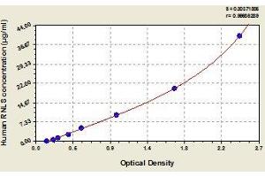 Typical standard curve (RNLS Kit ELISA)