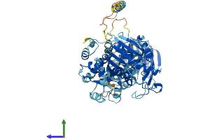 AlphaFold protein structure predicition of Mouse Recombinant Ddx1 Protein, UniprotID Q91VR5
