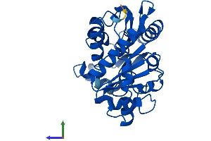 AlphaFold protein structure predicition of Human Recombinant GNPDA2 Protein, UniprotID Q8TDQ7