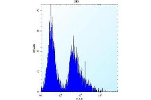 Flow cytometric analysis of 293 cells using AP51969PU-N (right histogram) compared to a negative control cell (left histogram).