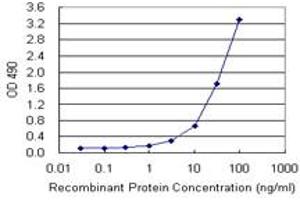 Sandwich ELISA detection sensitivity ranging from 1 ng/mL to 100 ng/mL. (TNFRSF6B (Humain) Matched Antibody Pair)