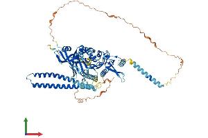 AlphaFold protein structure predicition of Human Recombinant KIF2A Protein, UniprotID O00139