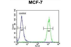 CCNT1 Antibody (Center) flow cytometric analysis of MCF-7 cells (right histogram) compared to a negative control cell (left histogram).