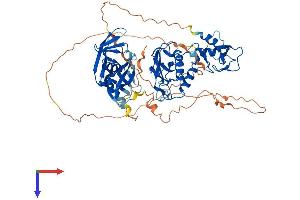 AlphaFold protein structure predicition of Mouse Recombinant Dtx2 Protein, UniprotID Q8R3P2