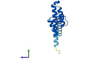 AlphaFold protein structure predicition of Human Recombinant PAM16 Protein, UniprotID Q9Y3D7