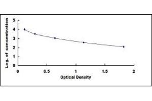 Typical standard curve