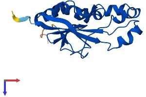 AlphaFold protein structure predicition of Human Recombinant DESI1 Protein, UniprotID Q6ICB0