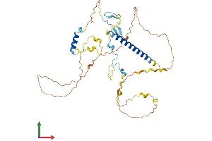 AlphaFold protein structure predicition of Human Recombinant MIIP Protein, UniprotID Q5JXC2