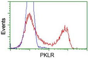 Flow Cytometry (FACS) image for anti-Pyruvate Kinase, Liver and RBC (PKLR) antibody (ABIN1500244) (PKLR anticorps)