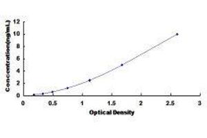 ELISA image for Acetyl-CoA Acetyltransferase 1 (ACAT1) ELISA Kit (ABIN426793)