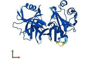 AlphaFold protein structure predicition of Human Recombinant PBLD Protein, UniprotID P30039