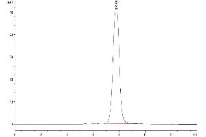 The purity of Human ANGPTL2 is greater than 95 % as determined by SEC-HPLC.