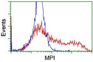 Flow Cytometry (FACS) image for anti-Mannose Phosphate Isomerase (MPI) antibody (ABIN1499545) (MPI anticorps)