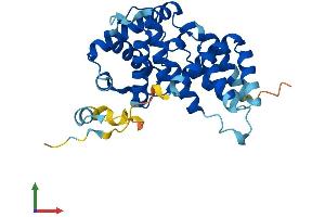 AlphaFold protein structure predicition of Mouse Recombinant Ccng1 Protein, UniprotID P51945